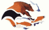 ONA_logo